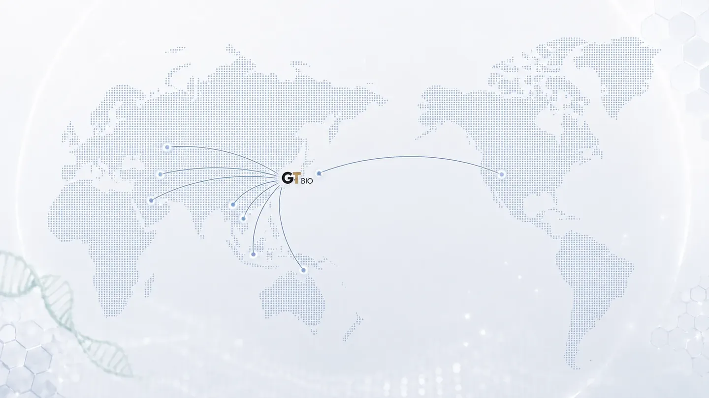 World Map